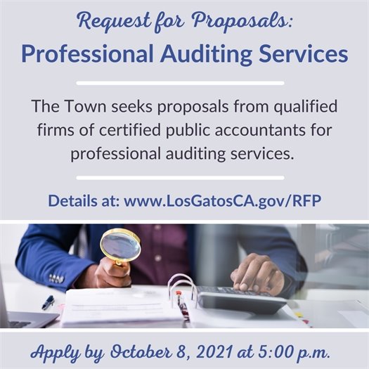 Request for Proposals: Professional Auditing Services