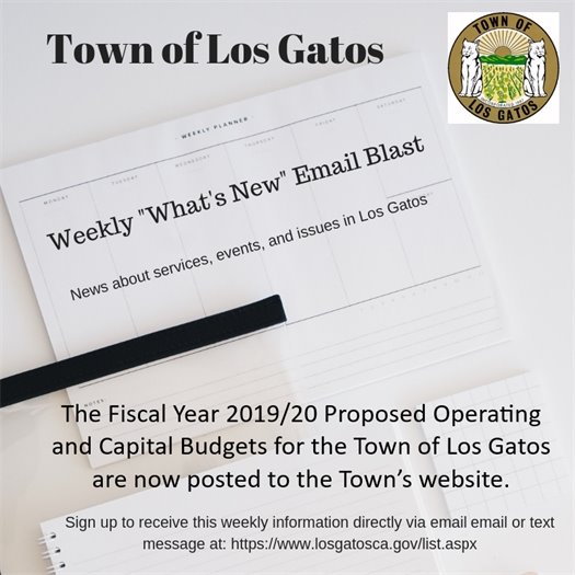 Town Budget