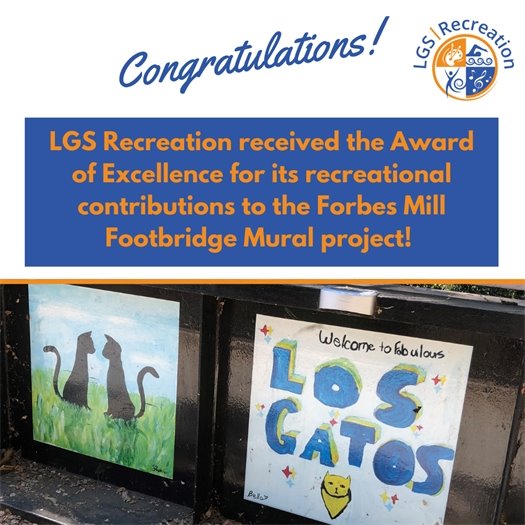 LGS Rec wins Award of Excellence for the Footbridge Mural Art Program!