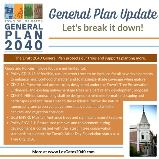General Plan Update: Let's Break It Down - Trees