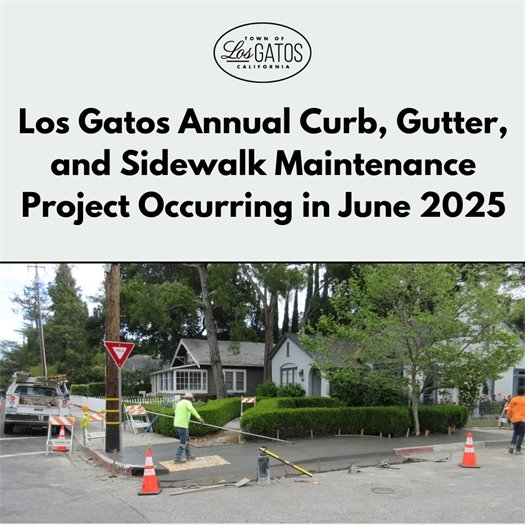 June 2025 Annual Curb, Gutter, and Sidewalk Maintenance Flyer