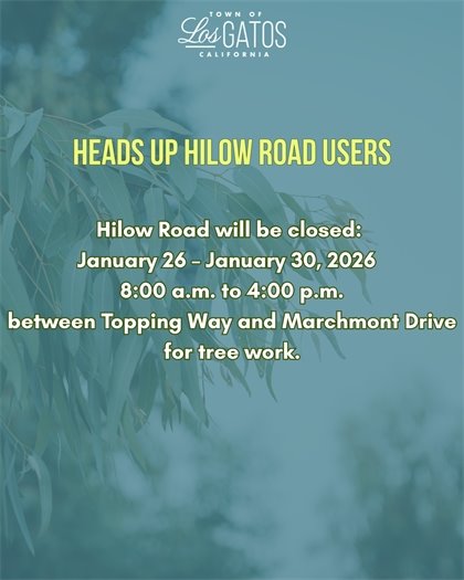 Scheduled Tree Work on Hilow Road
