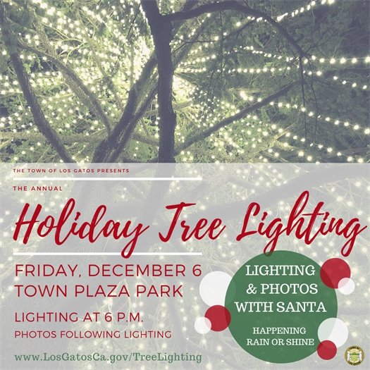 Holiday Tree Lighting 