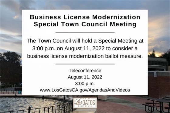Business License Modernization Special Council Meeting - August 11
