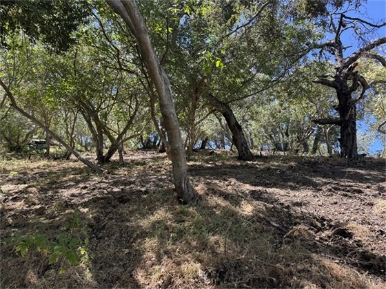 Vegetation Management Work at Santa Rosa Open Space