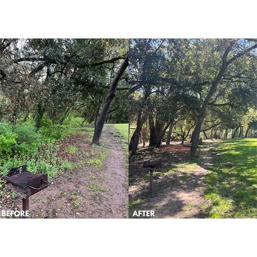 Vegetation Management Work Update 