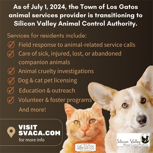 Animal Services Transition Flyer