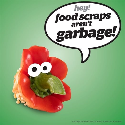 Kitchen Pail Distribution for Food Scraps 