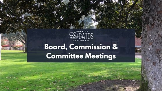 Board, Commission, and Committee Meeting Flyer 