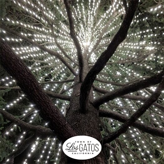Los Gatos in Lights