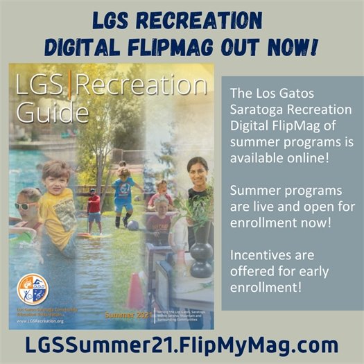 LGS Recreation FlipMag