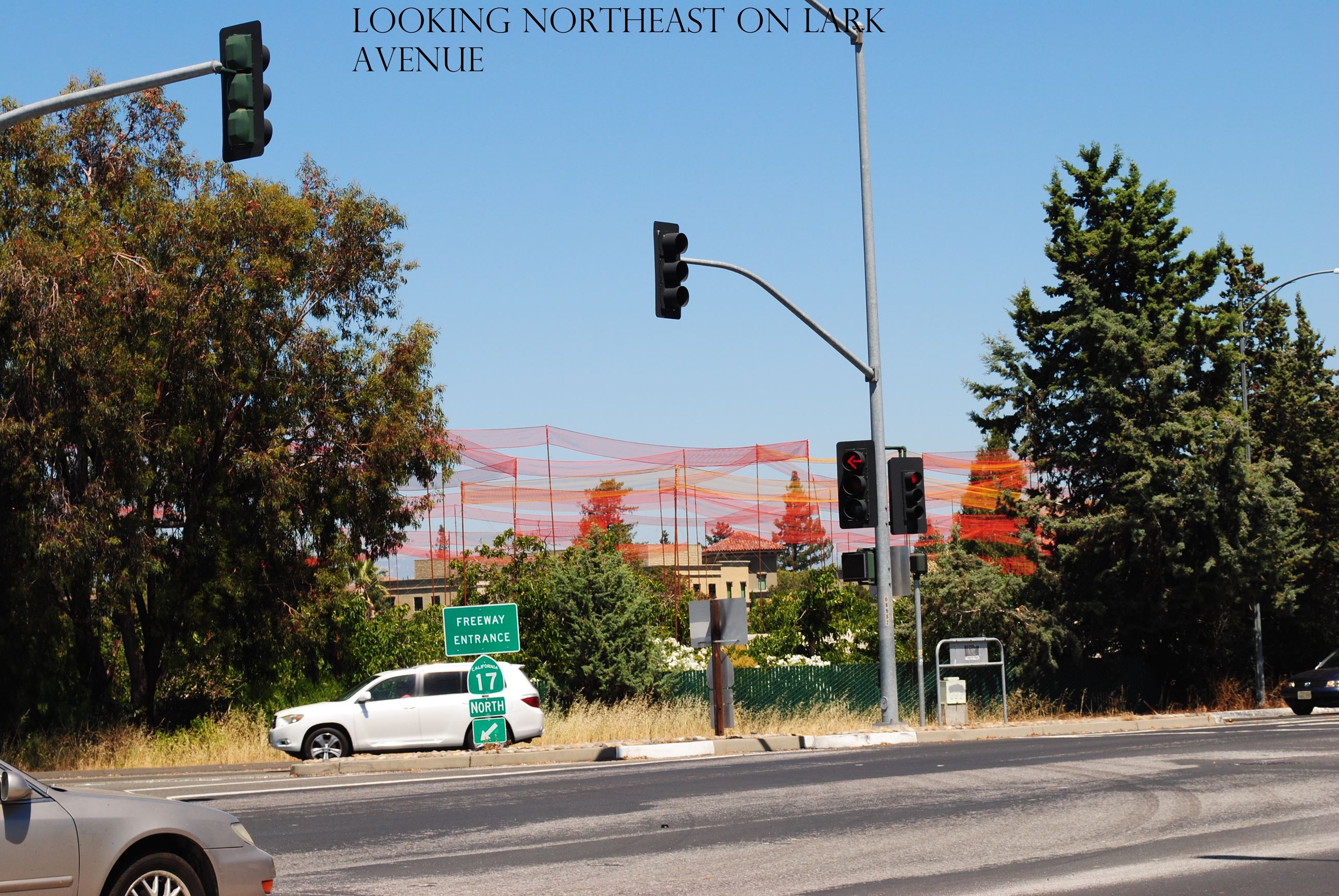 Looking North East on Lark Ave (7)