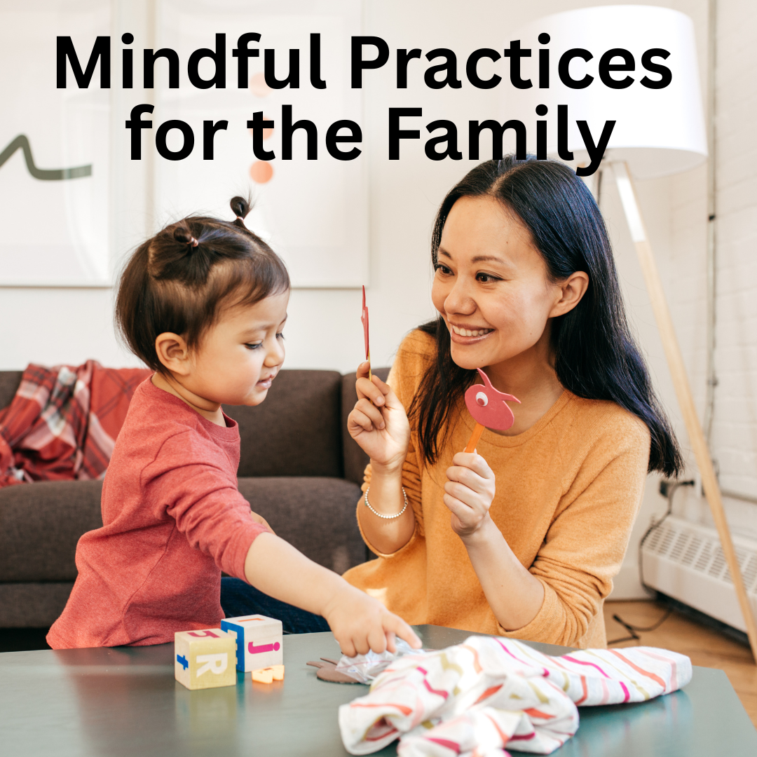 Family Mindfulness