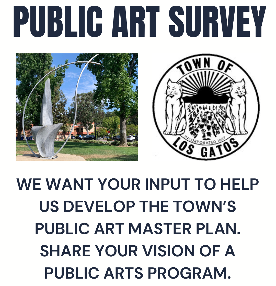 Public Art Survey 2025