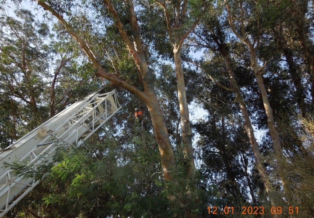 Picture2 -  Los Gatos Creek Trail Highway 9 Update